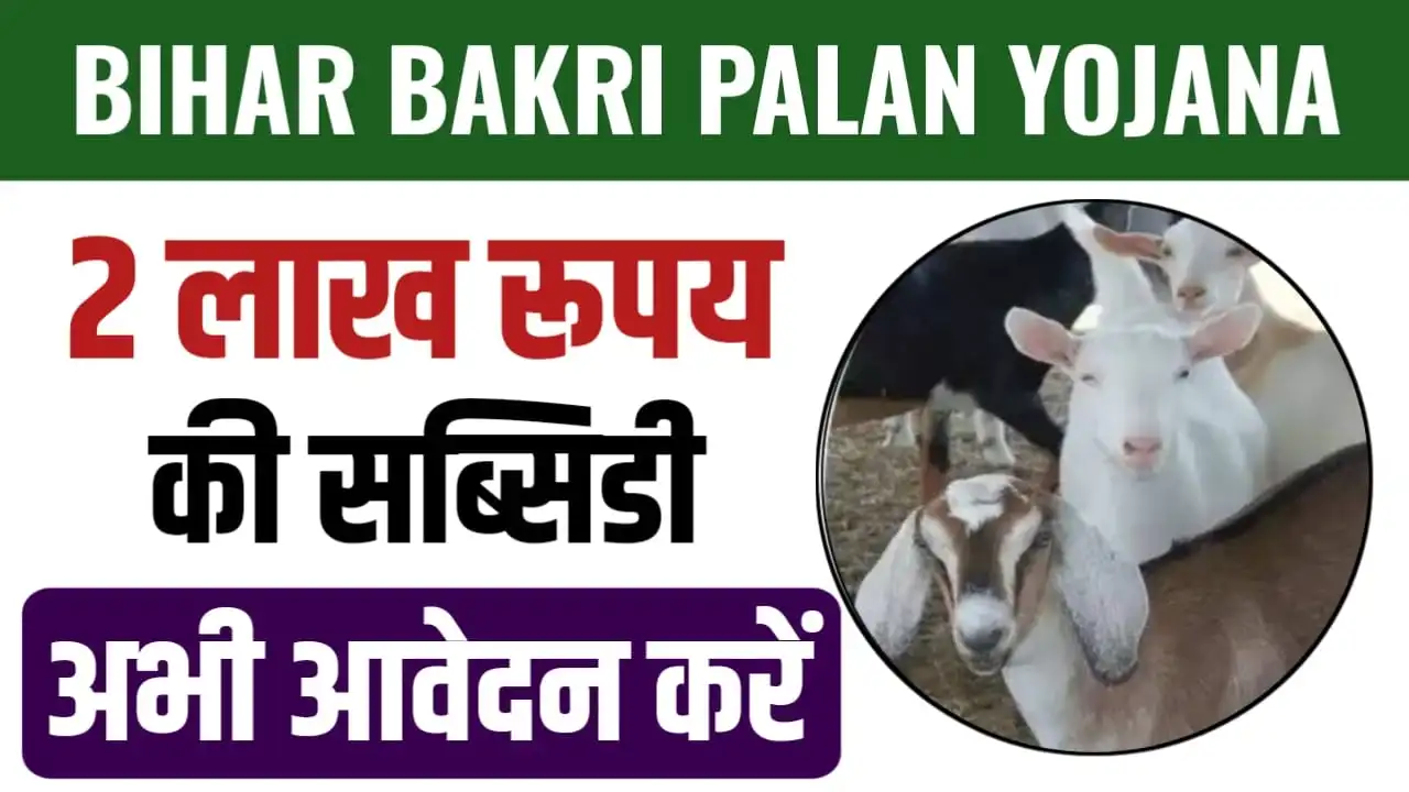 Bihar Bakri Palan Yojana