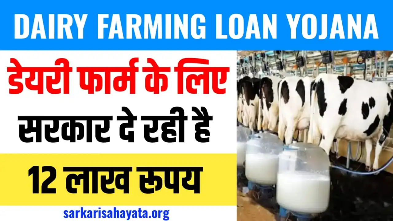 Dairy Farming Loan Apply Online 