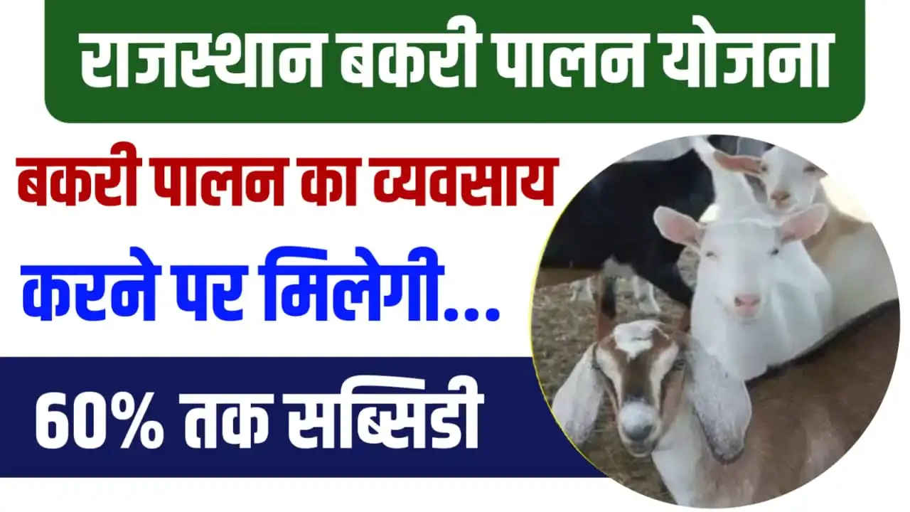 Rajasthan Bakri Palan Yojana